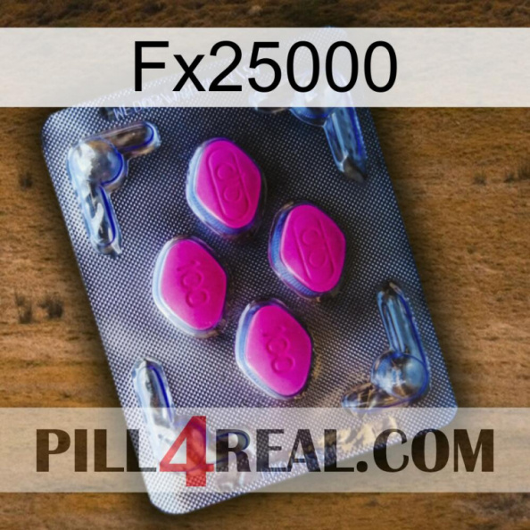 Fx25000 02.jpg